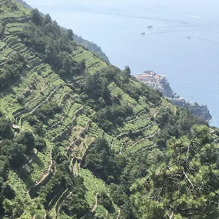 Alojamento de Turismo Rural Un Angelo Mia Tavola