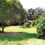 Vakantieboerderij Un Angelo Mia Tavola Sarzana