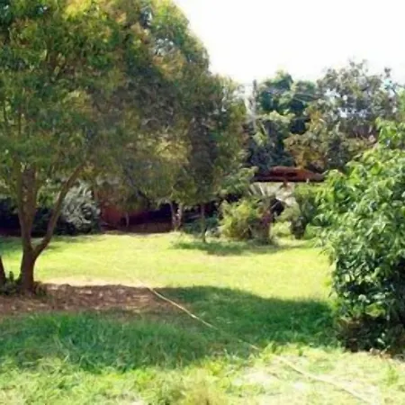 Bauernhof Un Angelo Mia Tavola Sarzana