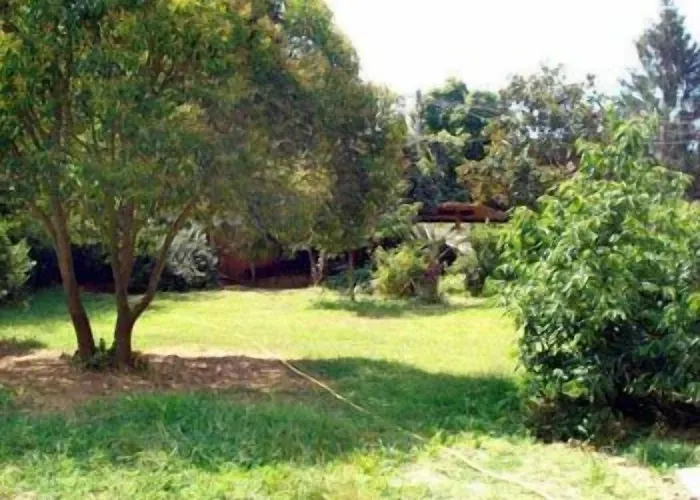 Фермерский дом Un Angelo Mia Tavola Сарцана